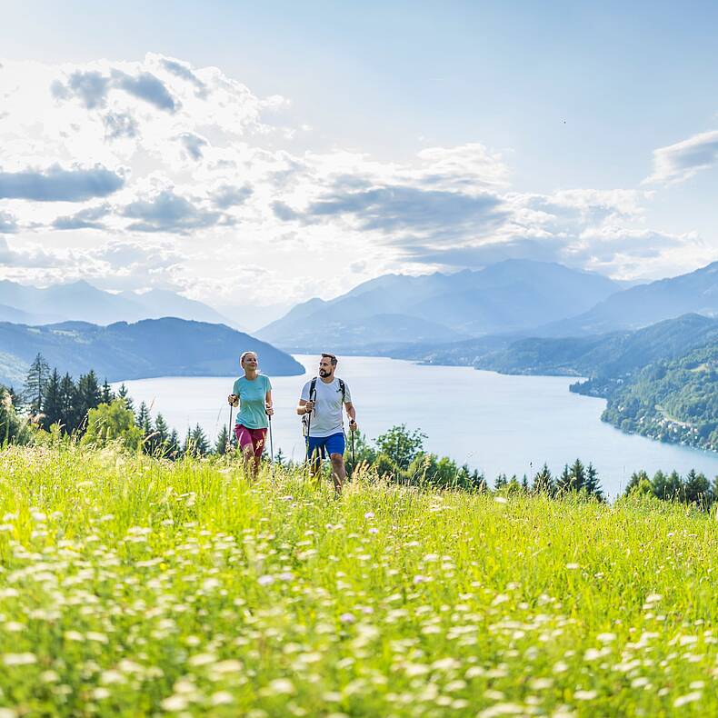 Blühende Almwiesen säumen den Via Paradiso Weitwanderweg © Gert Perauer_MBN Tourismus