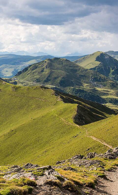 Die Natur beim Wandern genießen © Franz Gerdl