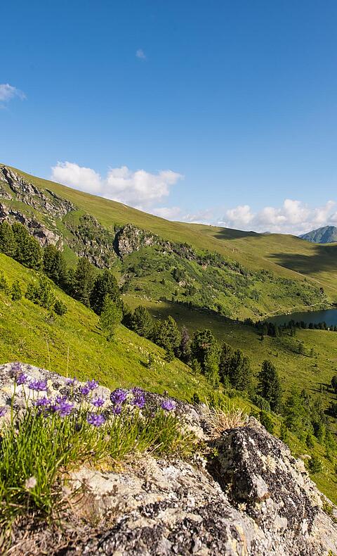 Panoramaausblick auf den Ort Falkert