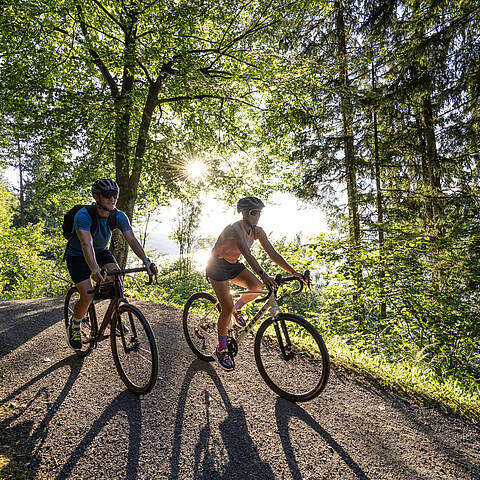 Radfahren um den Millstätter See im Sommer © Gert Perauer_MBN Tourismus