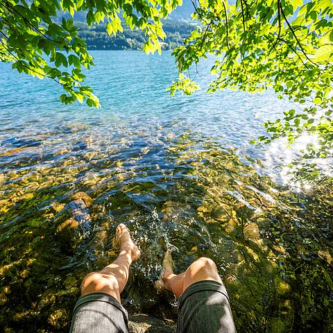 Herbstliche Farbenpracht entlang des Slow Trails, perfekt für eine entspannte Wanderung © Gert Perauer_MBN Tourismus