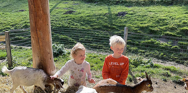 Alpenwildpark Feld am See © MBN Tourismus