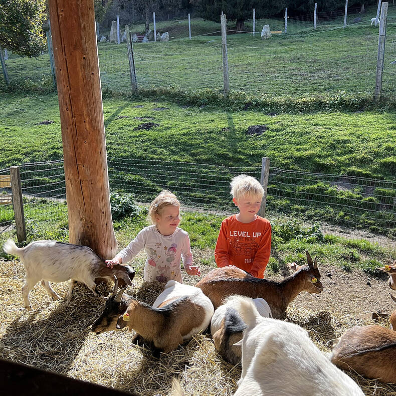 Alpenwildpark Feld am See © MBN Tourismus