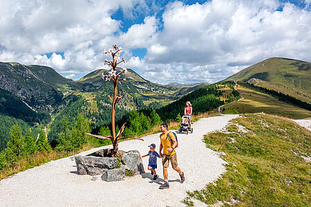 Escursione PLUS: 100 prestazioni incluse