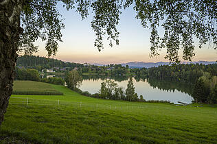 Maltschacher See in Feldkirchen © Franz Gerdl_MBN Tourismus