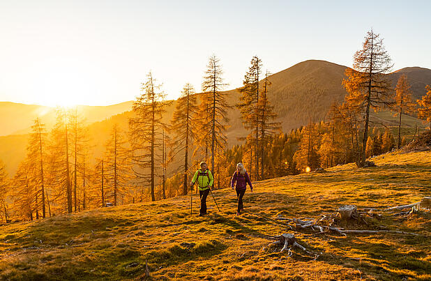 Pärchen wandert durch den goldenen Herbst am Nockberge-Trail