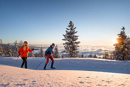 Panorama-Höhenloipen Hochrindl: