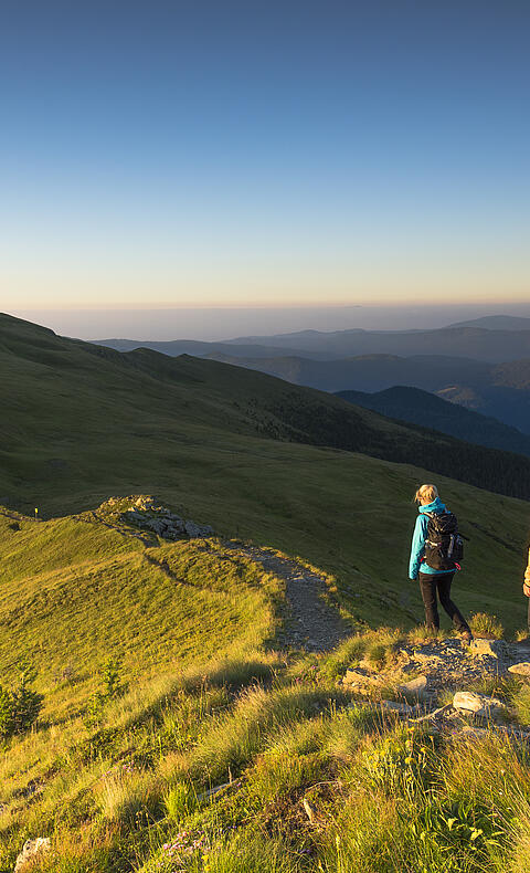 Wandern am Falkert  © Franz Gerdl_MBN Tourismus