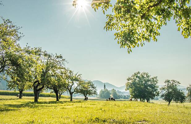 Panorama Lendorf © Gemeinde Lendorf