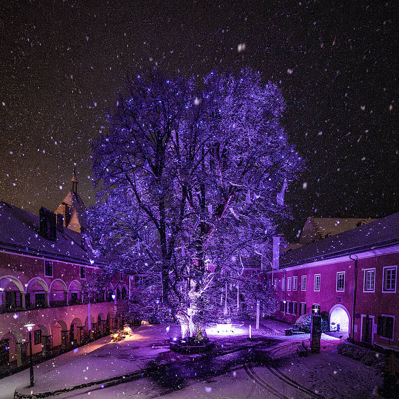 Allerlei Spannendes am Millstätter Lichtweg © Gert Perauer_MBN Tourismus
