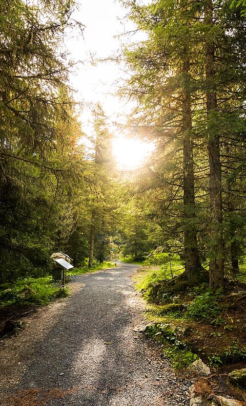Grundalm Nockalmstraße  © Michael Stabentheiner_KW