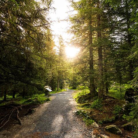 Grundalm Nockalmstraße  © Michael Stabentheiner_KW
