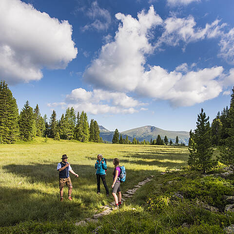 Wandern Turracher Höhe © Franz Gerdl_MBN Tourismus