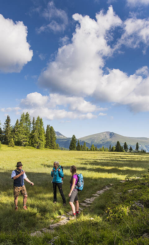 Wandern Turracher Höhe © Franz Gerdl_MBN Tourismus