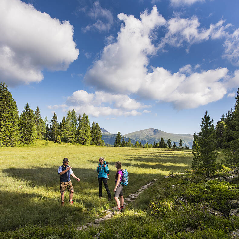 Wandern Turracher Höhe © Franz Gerdl_MBN Tourismus