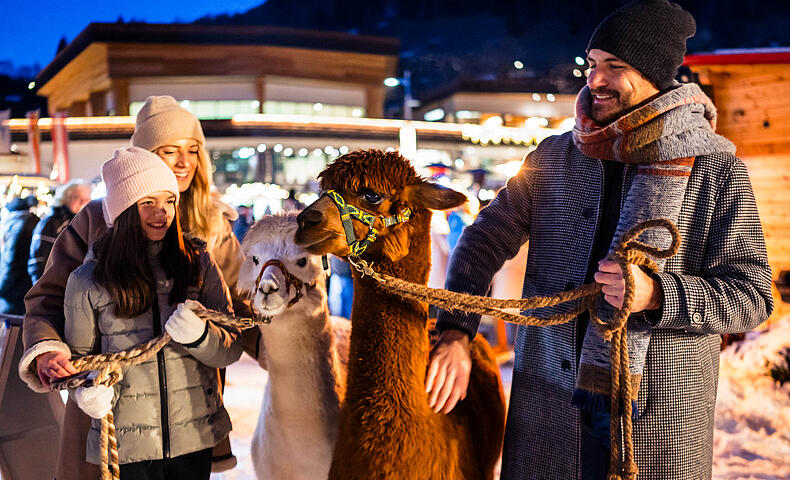 Familie streichel Alpaka am Kirchheimer Advent